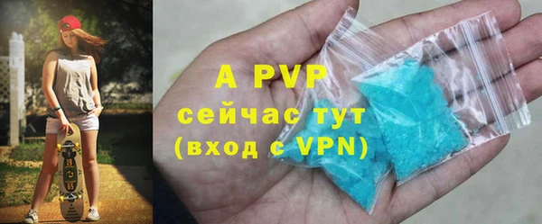 индика Горнозаводск