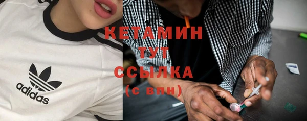 индика Горнозаводск