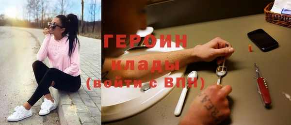 индика Горнозаводск