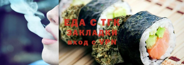 индика Горнозаводск