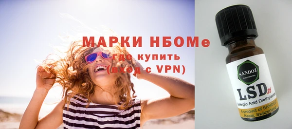индика Горнозаводск