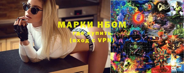 индика Горнозаводск