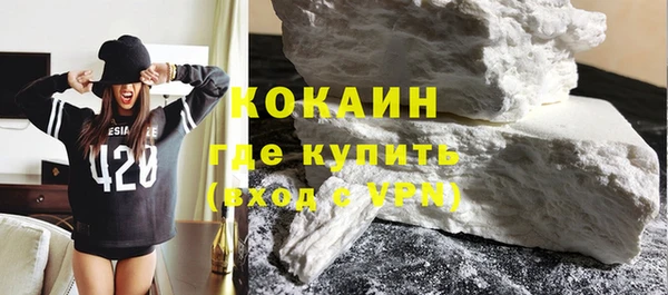индика Горнозаводск
