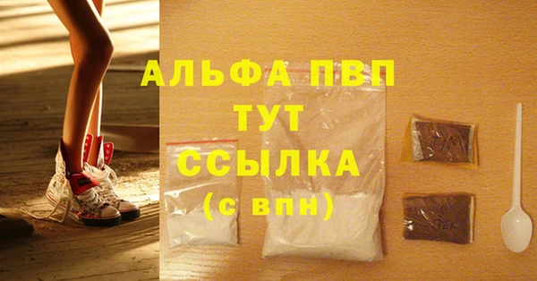 индика Горнозаводск