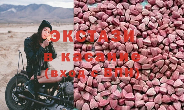 индика Горнозаводск