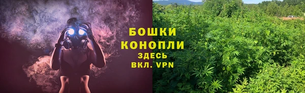индика Горнозаводск
