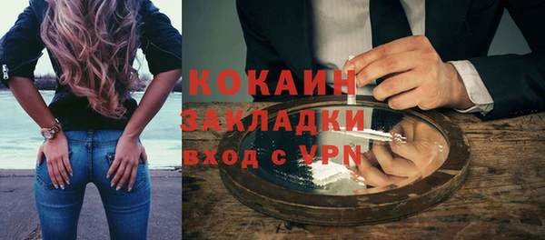 индика Горнозаводск