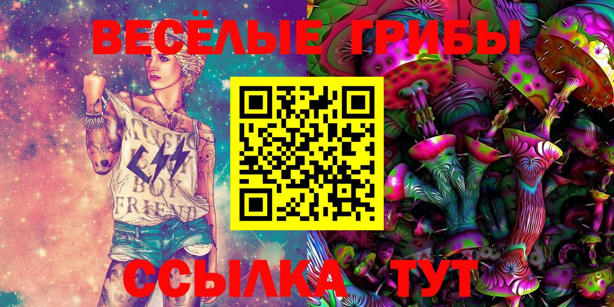 Галлюциногенные грибы ЛСД Горно-Алтайск