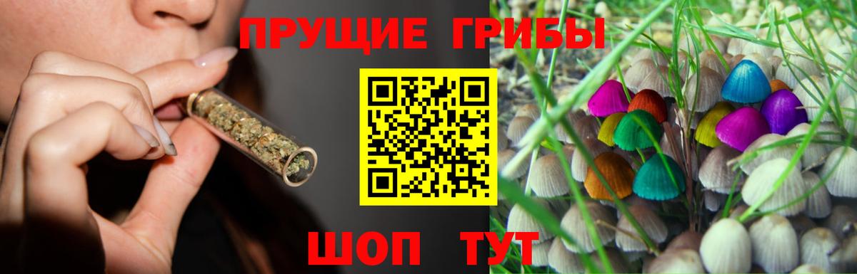 цены   Галлюциногенные грибы Psilocybe  Вход с VPN  Горно-Алтайск 