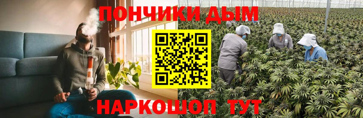 МАРИХУАНА индика  Бошки Шишки Bruce Banner  Вход с VPN  Горно-Алтайск  МАРИХУАНА тримм 